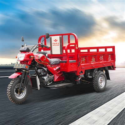 200cc товарен триколка с въздушно{1}}охлаждане